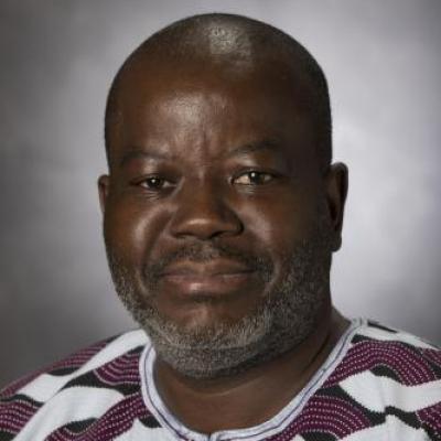 Professor Akinloye Ojo